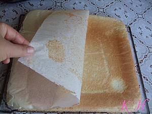 09 foto