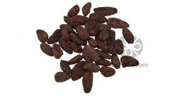 TRUE BEAN Какао - бобы обжаренные Kulkul Папуа Новая Гвинея